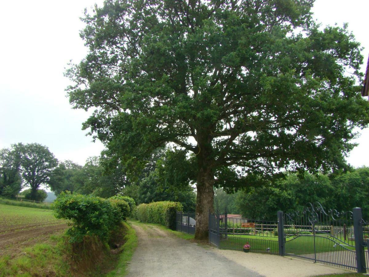Gite de la Houssière Joue-du-Bois Extérieur photo